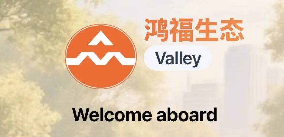 原文图片