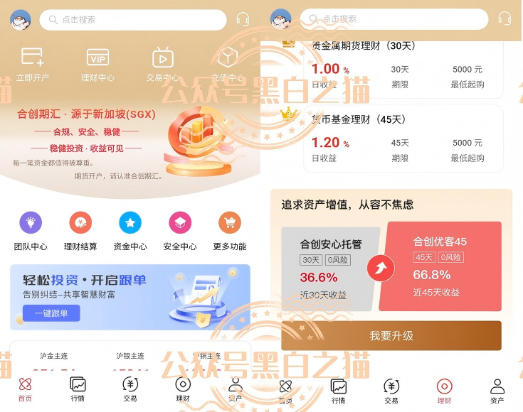 原文相关图片5