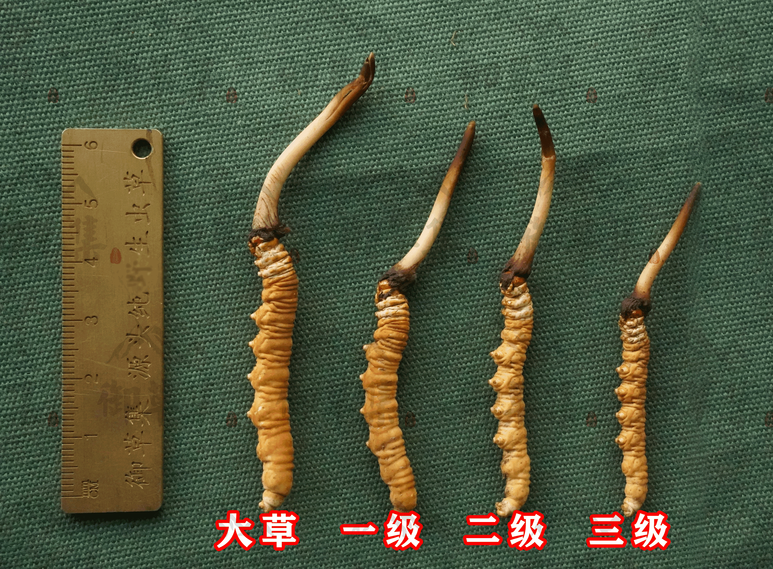 反诈警示图片