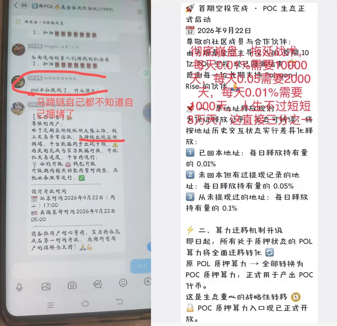 原文相关图片5