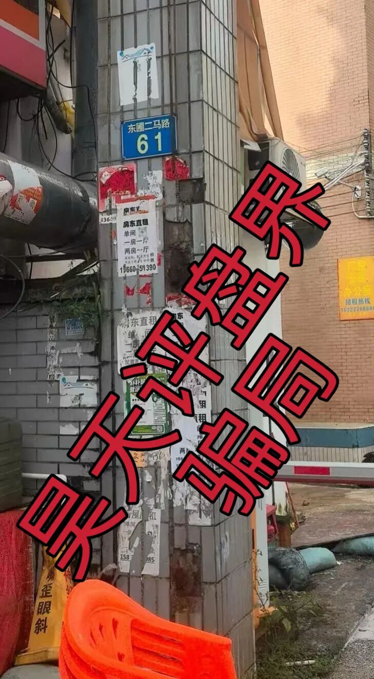 原文相关图片4