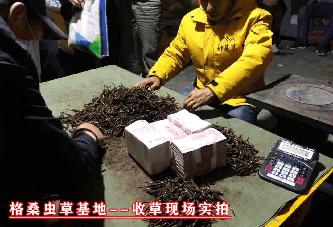 反诈警示图片