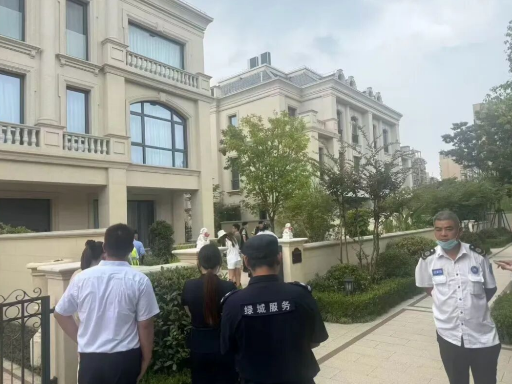 原文相关图片3